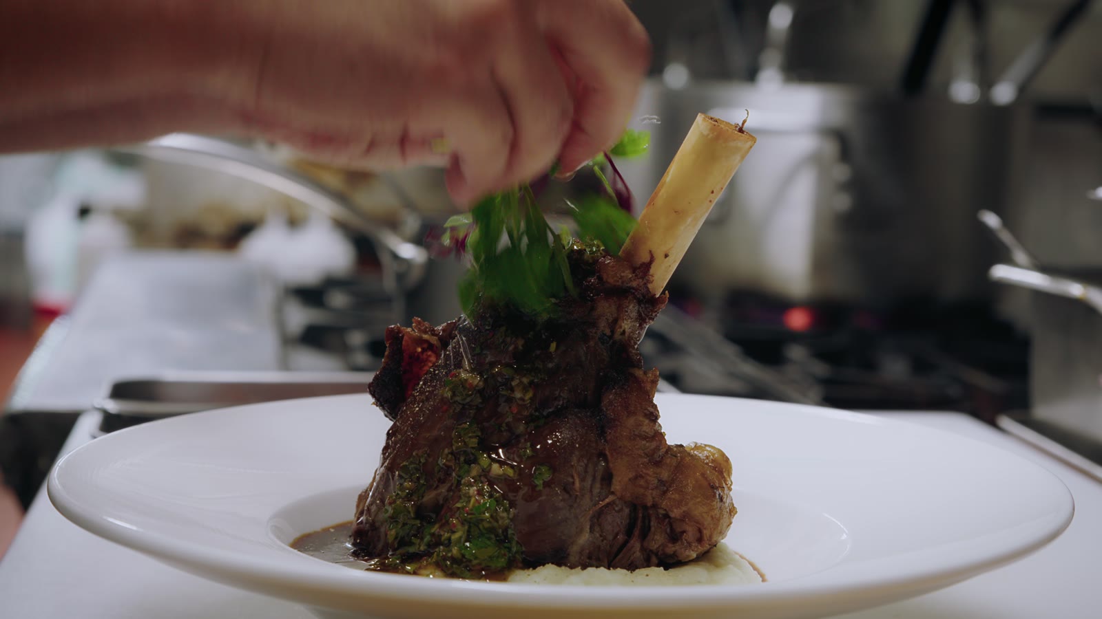 Alesta chef plating a fine-dining lamb dish