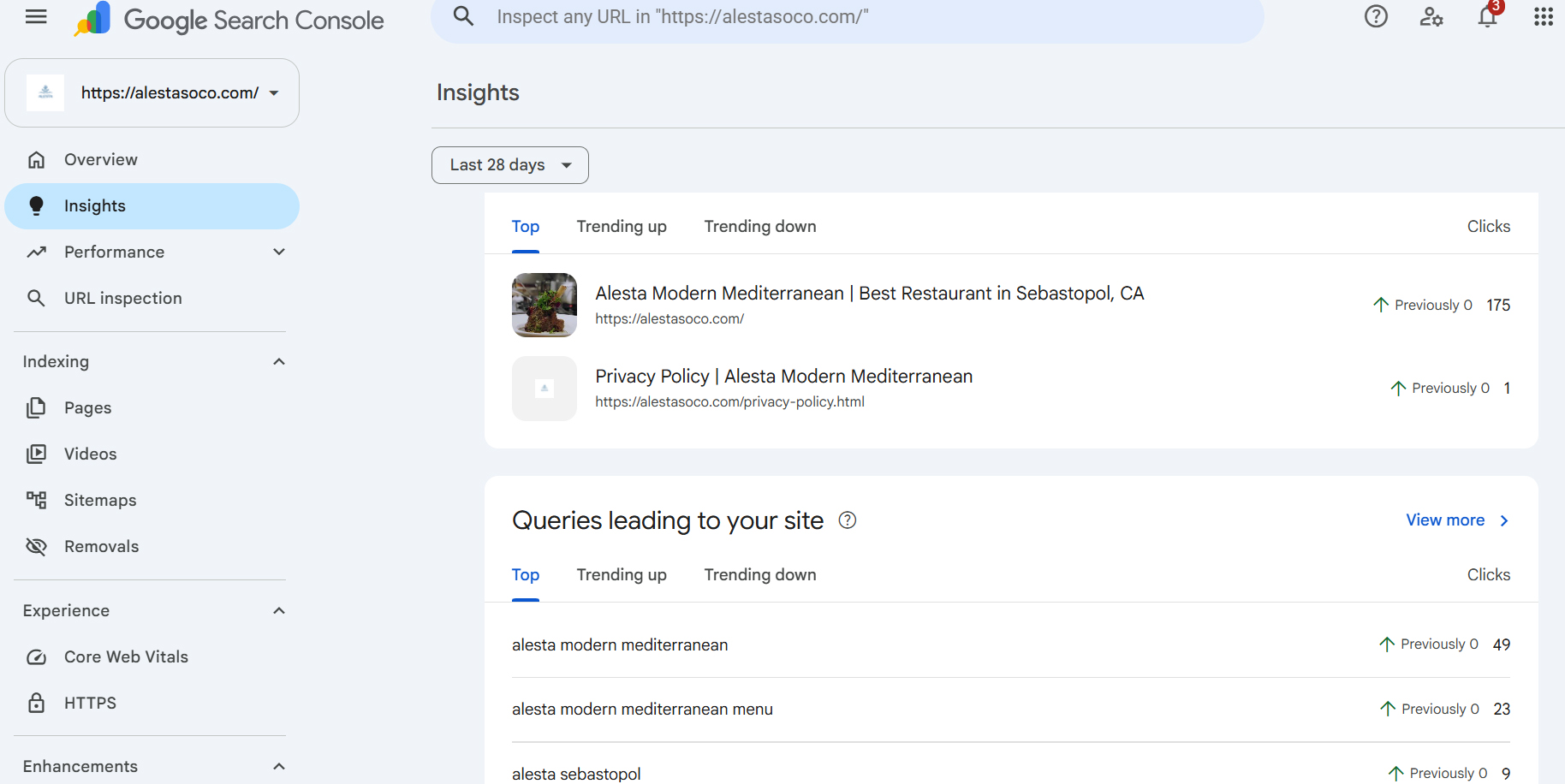 Alesta Google Search Console insights showing growth from zero